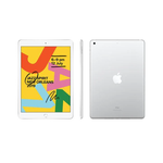 Apple iPad 10.2-inch (7th Generation 2019) 32GB PreOwned Wi-Fi + Cellular- Sliver