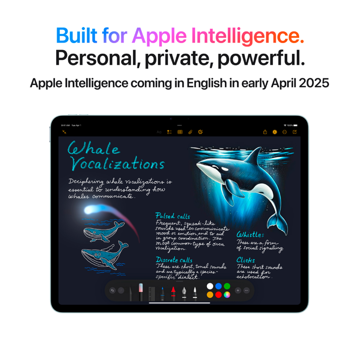 Apple iPad Air 13-inch Wi-Fi + Cellular 256GB – Blue (Model A3269)