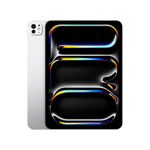 Apple iPad Pro M5 11-inch Wi-Fi 256GB With Standard Glass - Silver - Silver