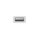Apple USB-C to USB Adapter - White - White