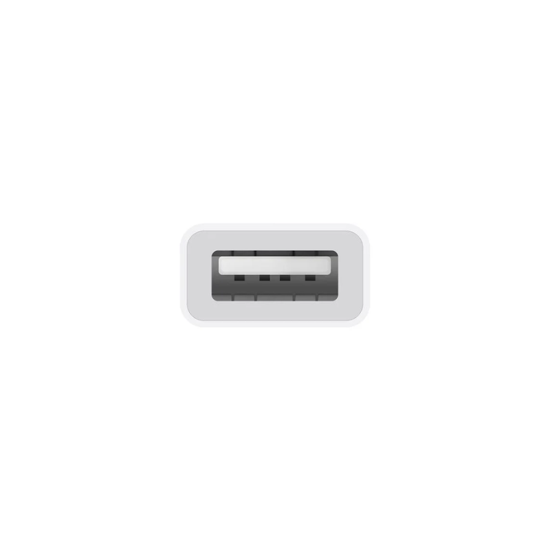 Apple USB-C to USB Adapter - White - White