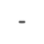 Apple USB-C to USB Adapter - White - White