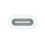Apple USB-C to Apple Pencil Adapter - White - White