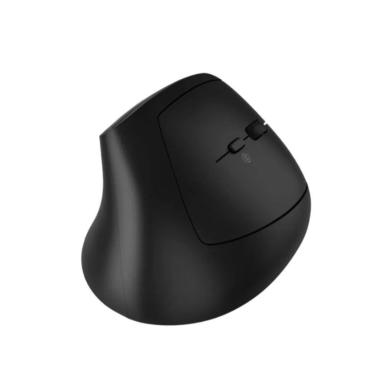 Canyon Mouse MW-25 Ergonomic LED AA Dual mode Wireless - Black - Black