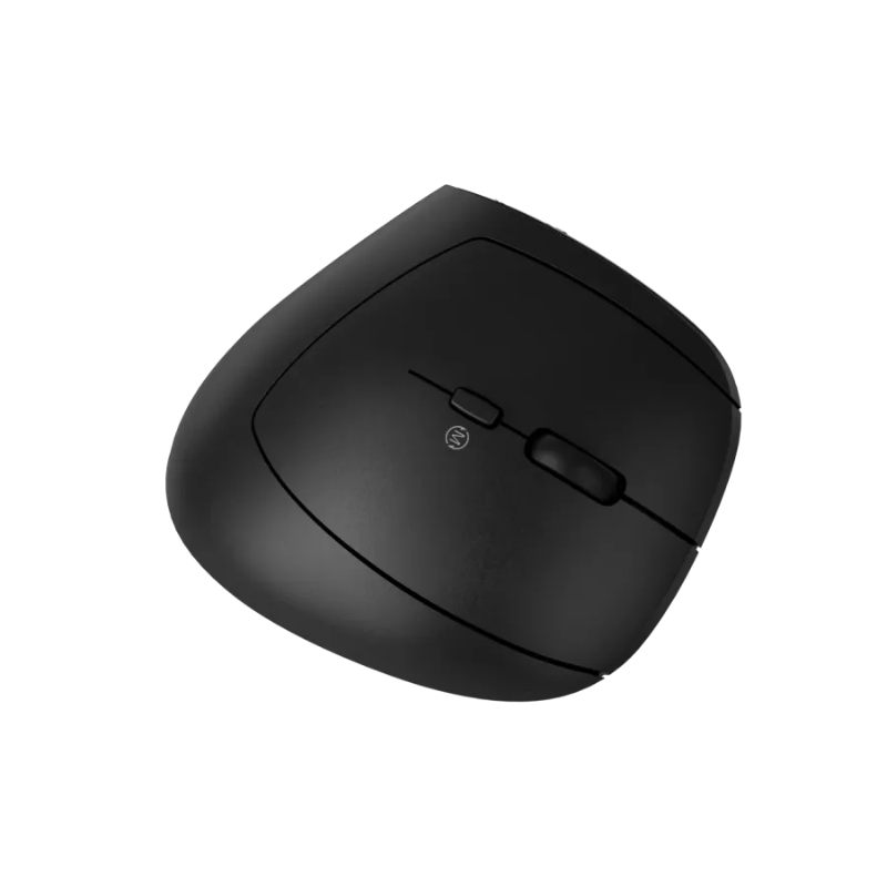 Canyon Mouse MW-25 Ergonomic LED AA Dual mode Wireless - Black - Black