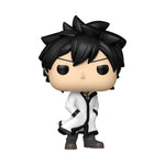 Funko Pop! Animation: Fairy Tail 100 Years Quest - Gray - Multicolour