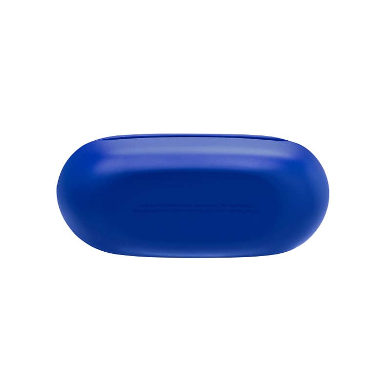 JBL Endurance Race 2 True Wireless Active Sport In-Ear Earbuds with ANC - Blue - Blue