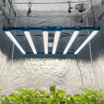 Kingbrite P55 480W BAR Grow Light with UV + IR |Samsung LM281B - Light Blue