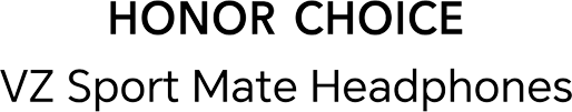 HONOR CHOICE Headphones