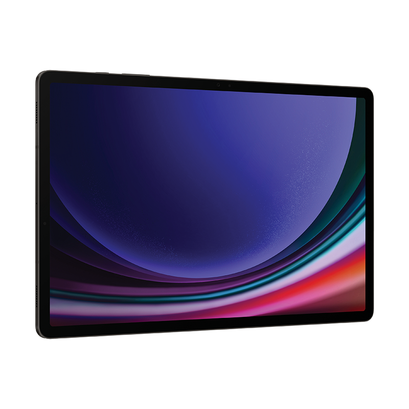 Samsung Galaxy Tab S9 Plus 5G 256GB - Grey - Grey