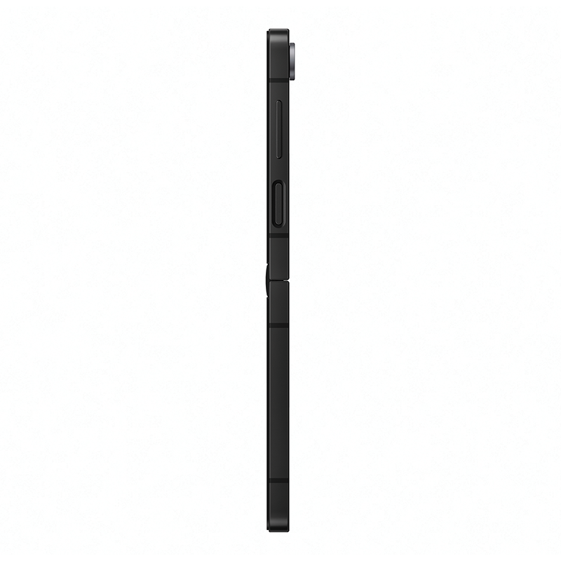 Samsung Galaxy Z Flip 7 FE 5G Dual Sim 256GB - Black - Black