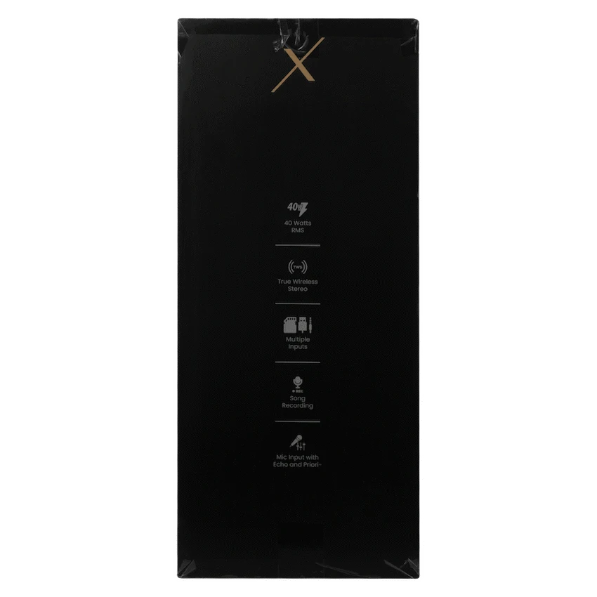 VolkanoX VXP200 Dual 6.5’’ Party Speaker - Black - Black - Audio
