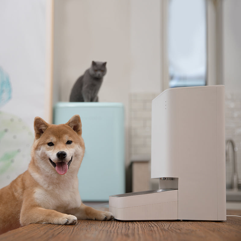 Xiaomi Smart Pet Food Feeder - Black