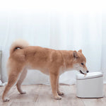 Xiaomi Smart Pet Water Fountain - White