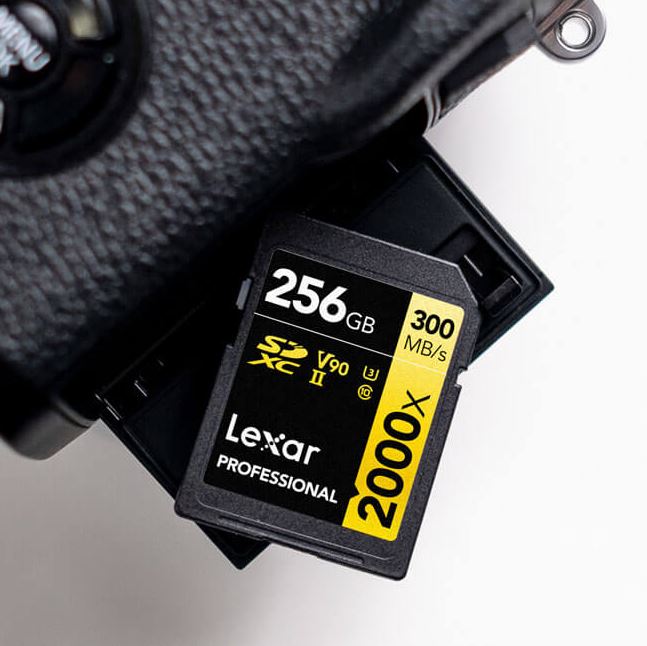 Lexar_SD_Professional_64GB_2000x_SDXC_Memory_Card_sold_by_Technomobi