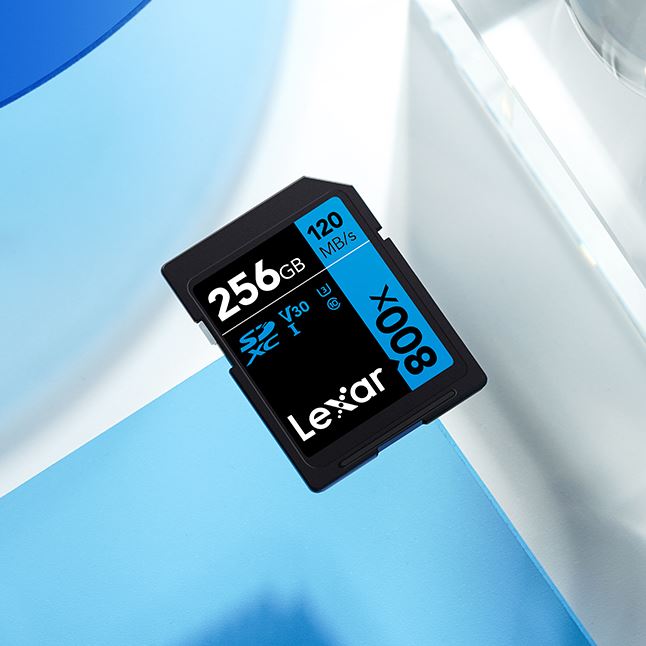 Lexar_SD_Professional_64GB_800x_SDXC_Memory_Card_sold_by_Technomobi