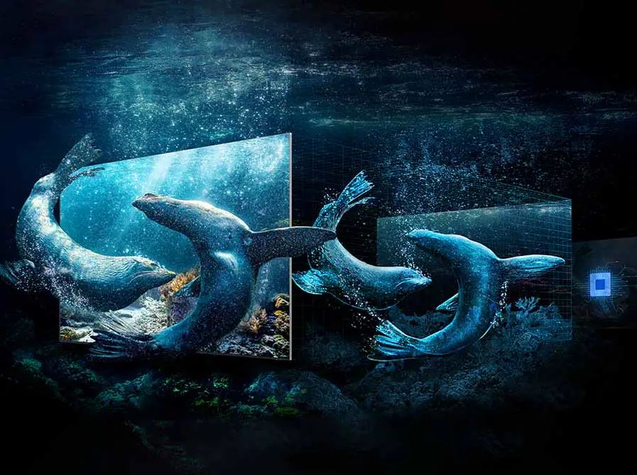Samsung_98_Inch_QN90D_Neo_QLED_4K_HDR_Smart_TV_2024_sold_by_Technomobi_1