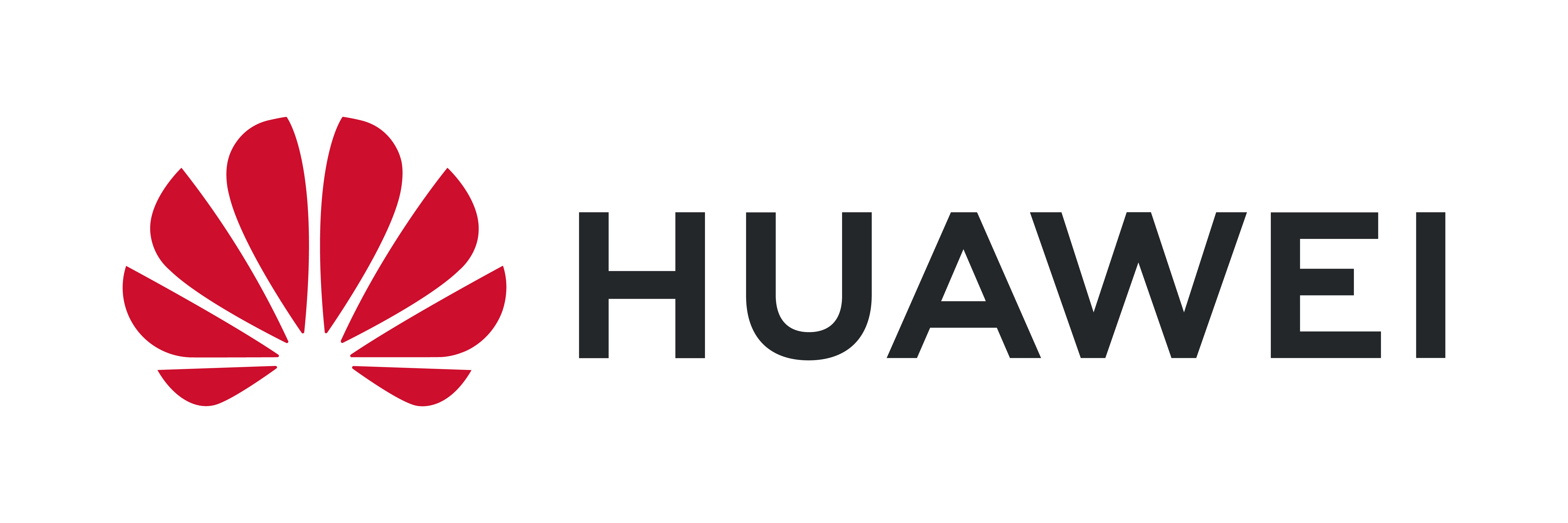 Huawei-brandlogo-100-2021