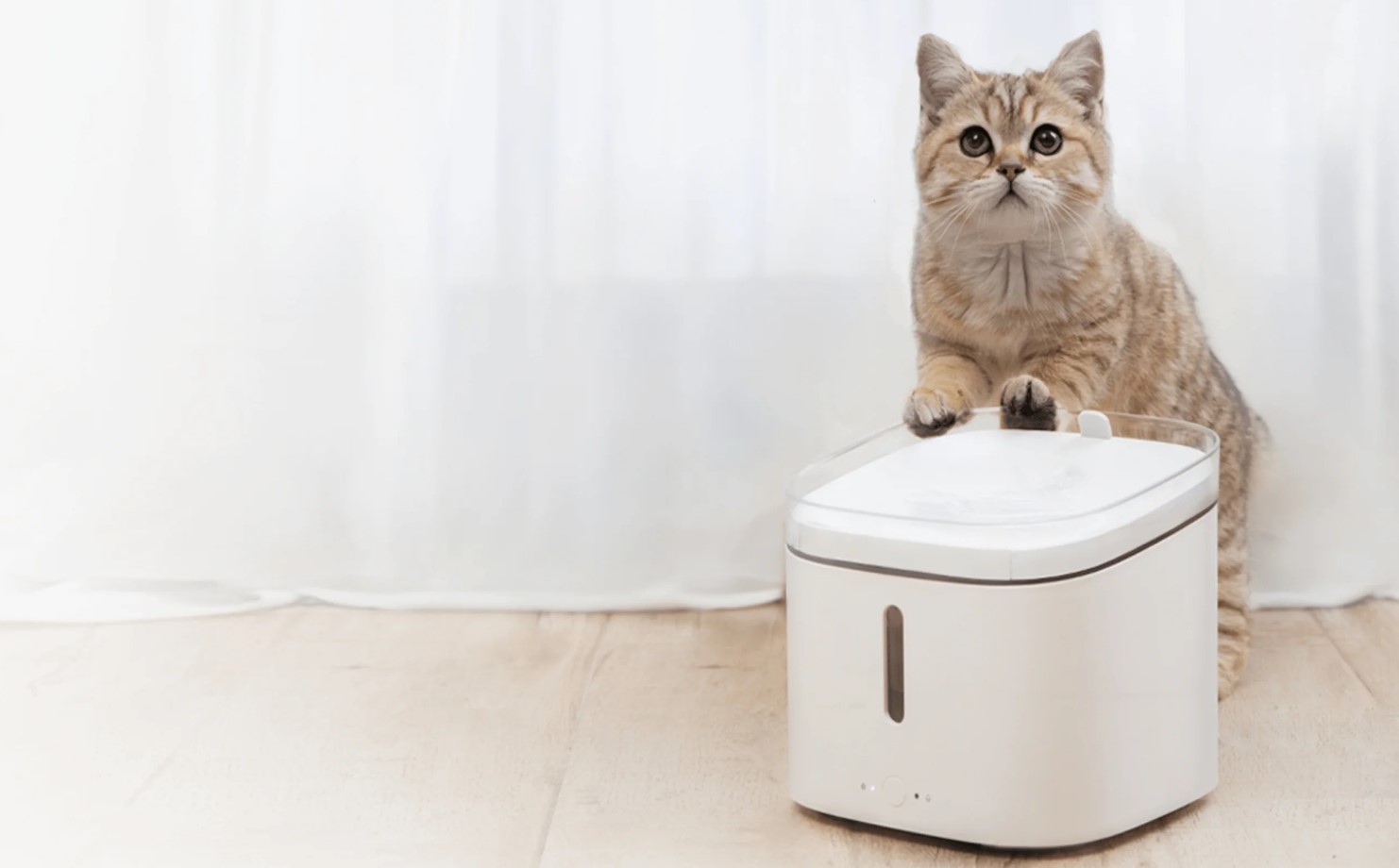 Xiaomi_Smart_Pet_Water_Fountain_sold_by_Technomobi