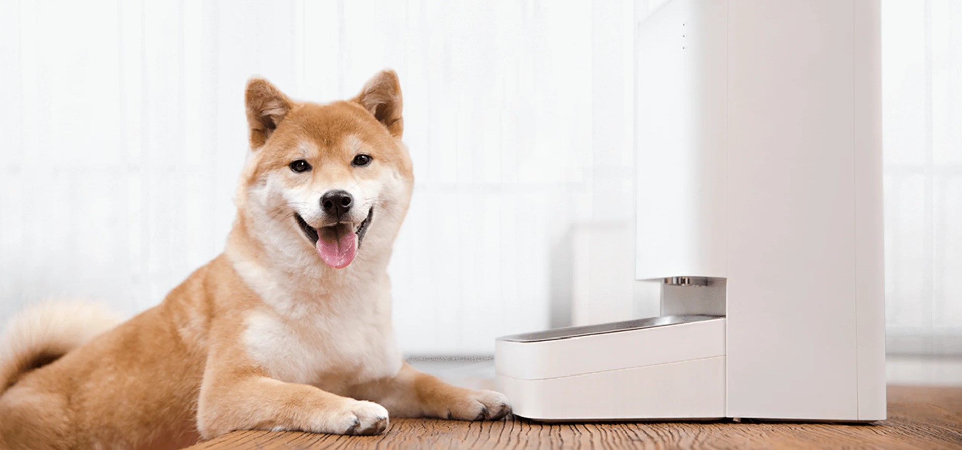 Xiaomi_Smart_Pet_food_feeder_sold_by_Technomobi_6