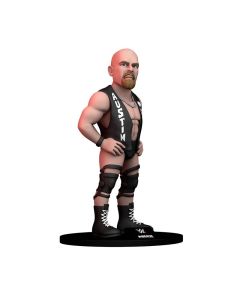 Minix Deportes: WWE - Stone Cold Steve Austin