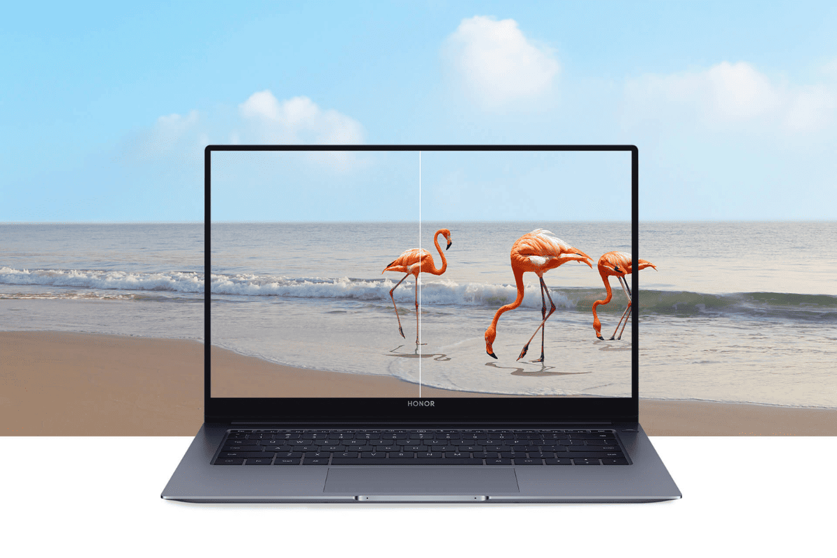 Honor_Magicbook_X14_i3_Laptop_8GB_RAM_512GB_ROM_with_Mouse_and_Backpack_-_Gray_1_