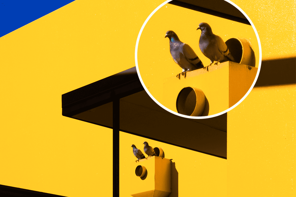 Nubia_Focus_2_5G_Dual_Sim_256GB_-_Blue_2_