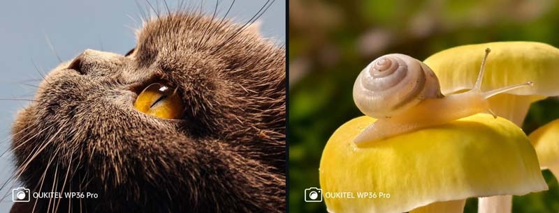 Oukitel_WP36_Pro_4G_Rugged_sold_by_Technomobi