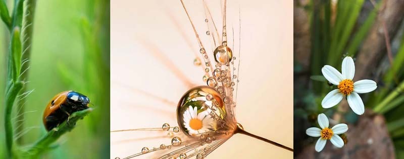 Oukitel_WP56_5G_Rugged_Smartphone_256GB_Dual_SIM_sold_by_Technomobi_1